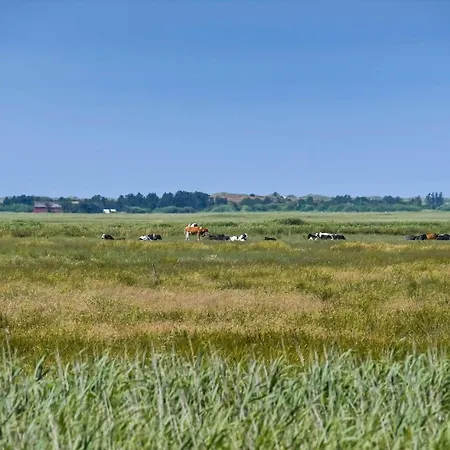 Prázdninový dům C11579-hemmet-horsfold-127 *