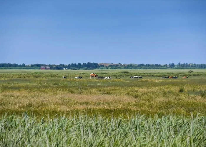 Prázdninový dům C11579-hemmet-horsfold-127 *